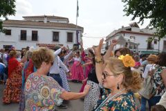 ROMERÍA  DE LA INMACULADA. LA LUISIANA - 12