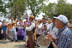 ROMERÍA  DE LA INMACULADA. LA LUISIANA - 13