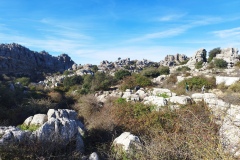TORCAL ANTEQUERA 7