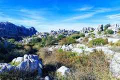 TORCAL ANTEQUERA 11